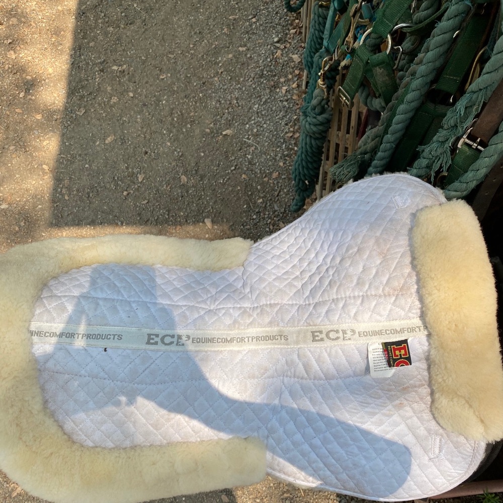 Equestrian half pad